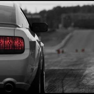 Drag Race (6)