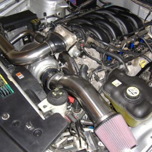 2009 01130006