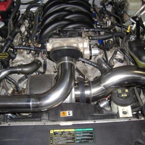 2009 01130008