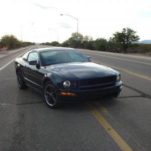 First pictures after bringing her back from Cali