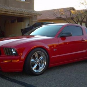 mustang1