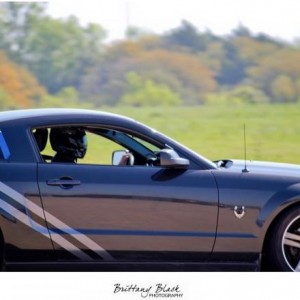 stang 3