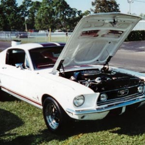 My Mustang 1
