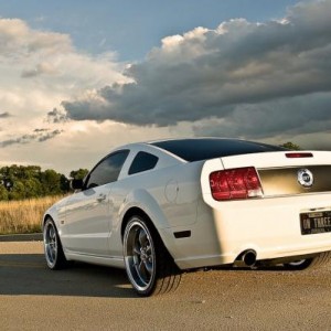 Mustangnobubbles