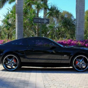 FORIST'S MUSTANG GT