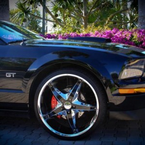 MUSTANG GT CHIN SPOILER, CROSS DRILLED ROTORS, MGP BRAKE COVER PLATES.