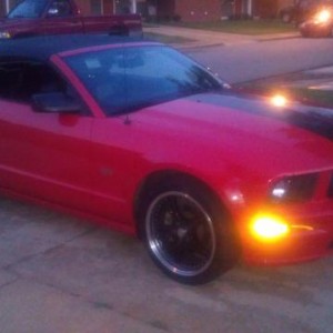 mustang