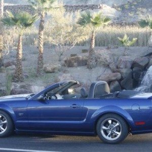 Mustang 001