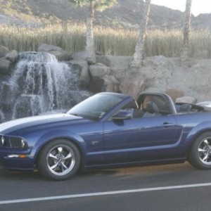 Mustang 002