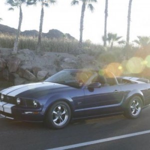 Mustang 004