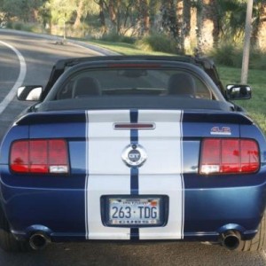 Mustang 006