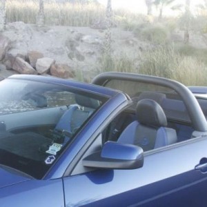 Mustang 008