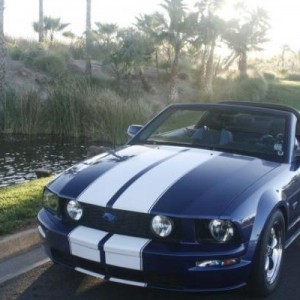 Mustang 009