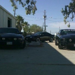 stangs