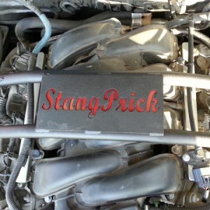 Custom made brace for a buddy of mine... AKA StangPrick