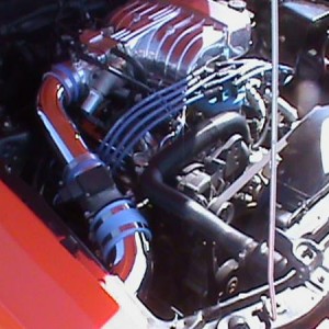 DSC00042