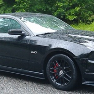 Mustang 2011 017