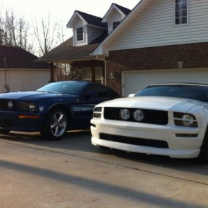 Stangs