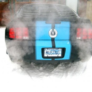 New MUSTNG license plate.  We can only have 6 letters/numbers on our plates.  Makes it hard to express yourself.  lol