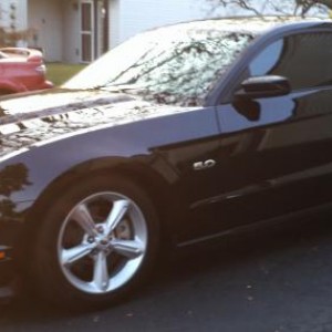 5.0 Mustang