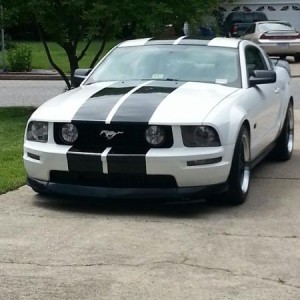 Fresh Wax