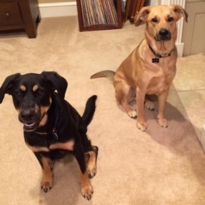 Scooter and Frisco
