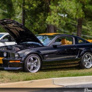 Mustangs Unlimited car show, Photo by David New