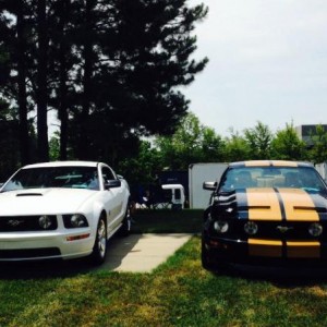 07 GT is mine, 09 GT my youngest son.
