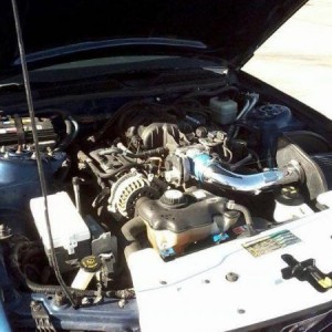 Engine Bay