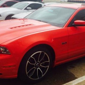 2014 Mustang GT at the Dealership.