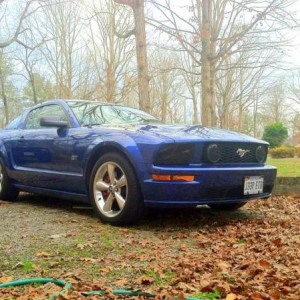 my mustang