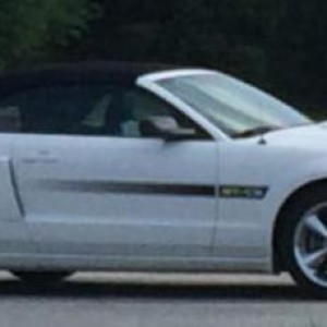 stang