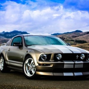 Mustang 010
