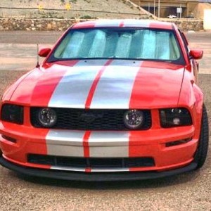 FrontViewStang 2