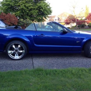 stang1