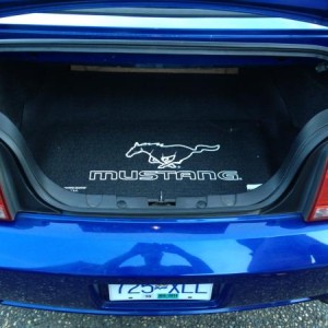 Trunk mat