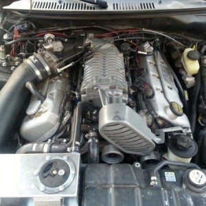 LAMustang.com mascot - 2001 Mustang GT/Cobra with 2003 Cobra Terminator 500 RWHP