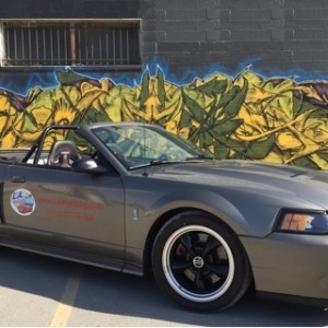 LAMustang.com mascot - 2001 Mustang GT/Cobra with 2003 Cobra Terminator 500 RWHP