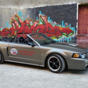 LAMustang.com mascot - 2001 Mustang GT/Cobra with 2003 Cobra Terminator 500 RWHP