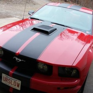 El Diablo with the Saleen NA Shaker (Spring 2016)