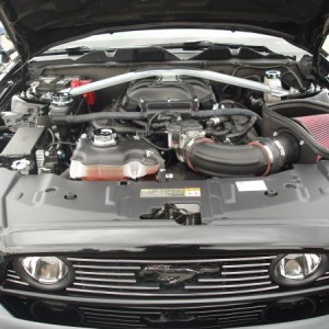Engine Compartment
