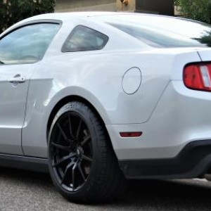 rear quarter