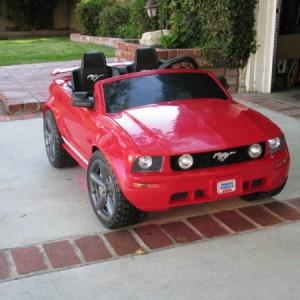 Mini Stang