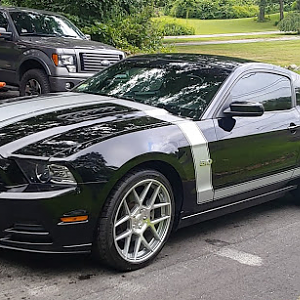 Mustang