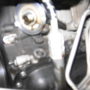 Oil Filter Adapter Light & Fuzzy