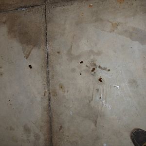 Spots From Oil Filter Adapter