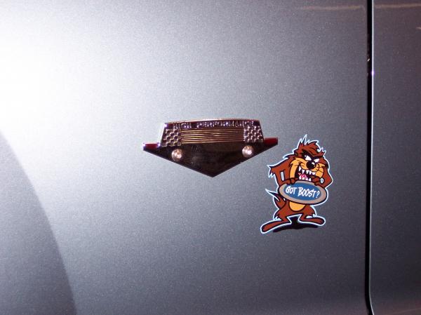 1965-66 mustang hipo emblem and hand painted tazzzzz