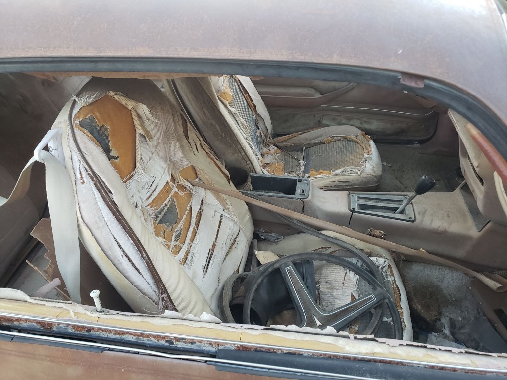 20220408_183430.jpg