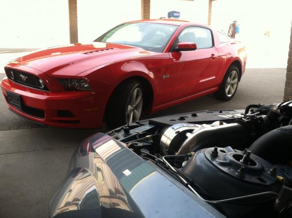5.0, 4.6 procharged