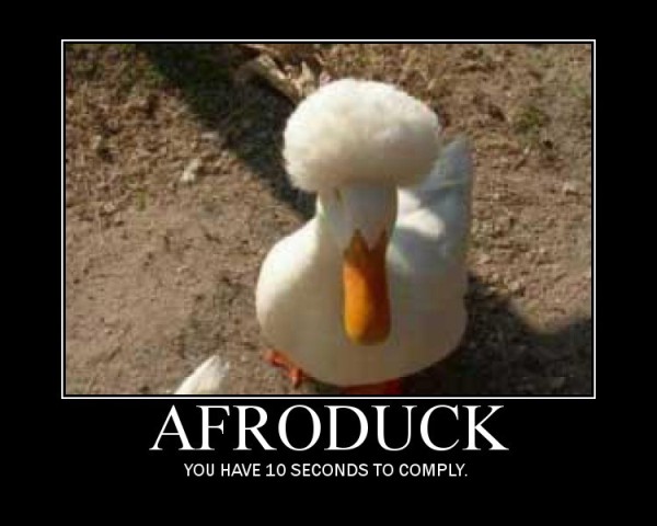 afroduck